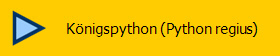 Königspython (Python regius)